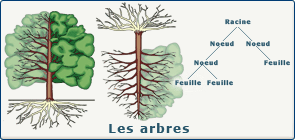 Arbre informatique