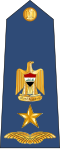 Grade: Lieutenant colonel
