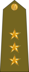 Grade: Capitaine