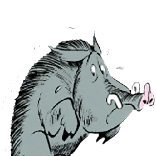 Toutes les infos sur Sanglier Sanglier(asterix)