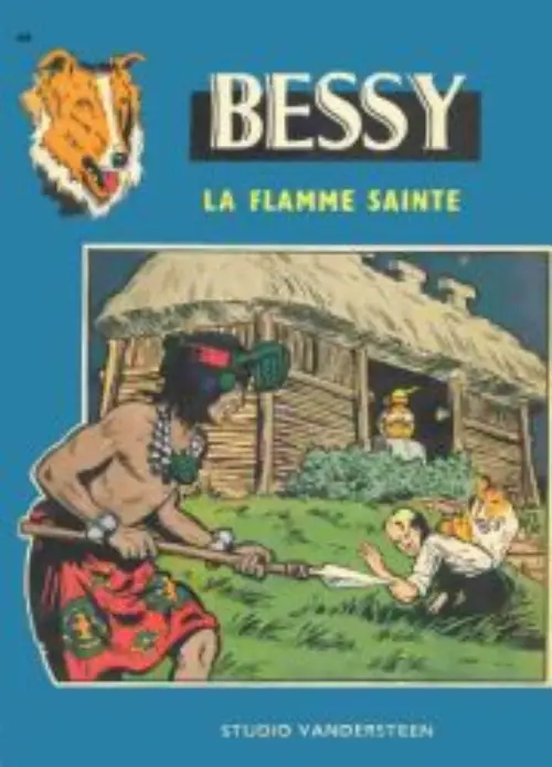 Consulter les informations sur la BD La flamme sainte