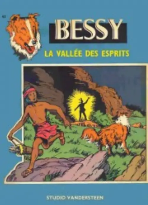 Consulter les informations sur la BD La vallée des esprits