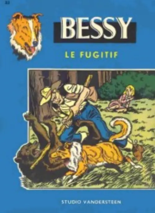 Consulter les informations sur la BD Le fugitif