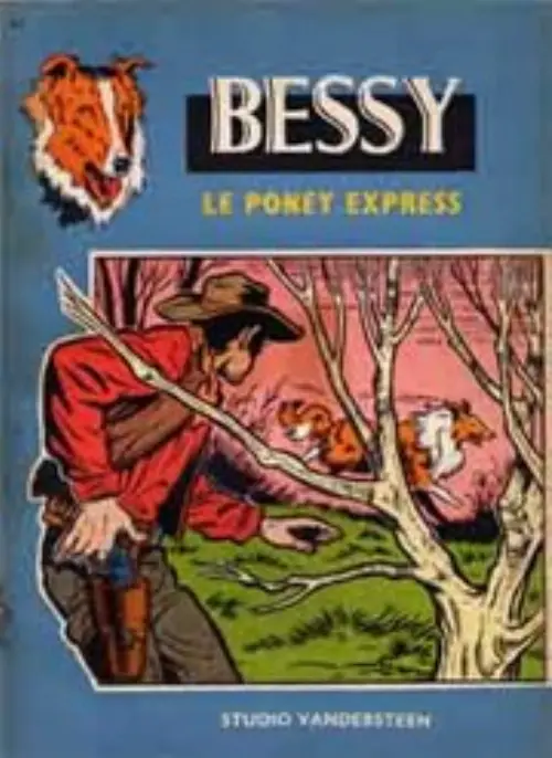 Consulter les informations sur la BD Le poney express