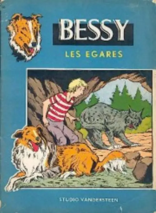 Couverture de l'album Les égarés