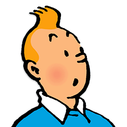 Tintin -  37 Jaar Oud(les-aventures-de-tintin)