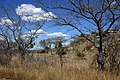 Parc Kruger.