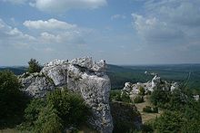 Le plateau de Cracovie-Częstochowa (Jura cracovien).