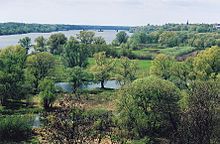 Vallée de la Vistule au nord de Toruń.