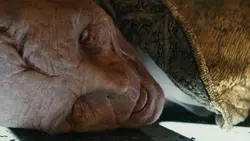 Cadavre de Snoke