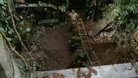 There's No Place Like Home, Part 1 (épisode : 4x12) Orchidgreenhouse