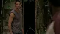 Swandoor