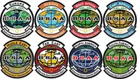 Patches BSAA