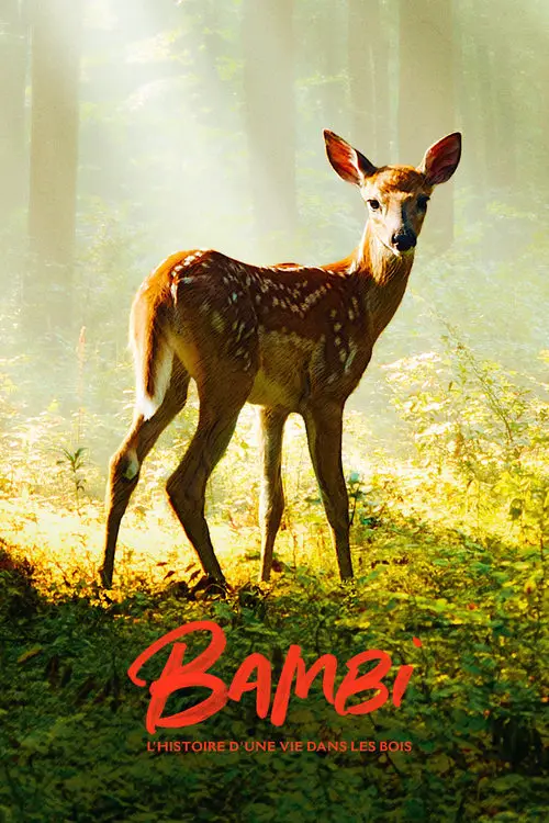 Consulter les informations sur la BD Bambi, l'histoire d'une vie dans les bois