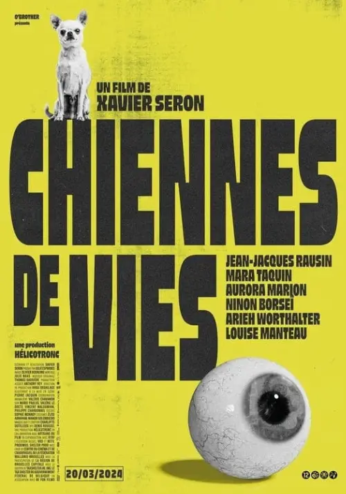 Consulter les informations sur la BD Chiennes de vies