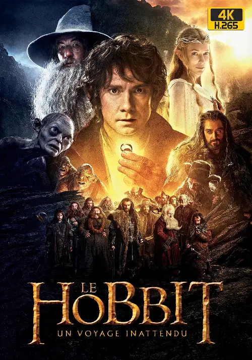 Couverture de l'album Le Hobbit 1 -  Un voyage inattendu [4K Light]