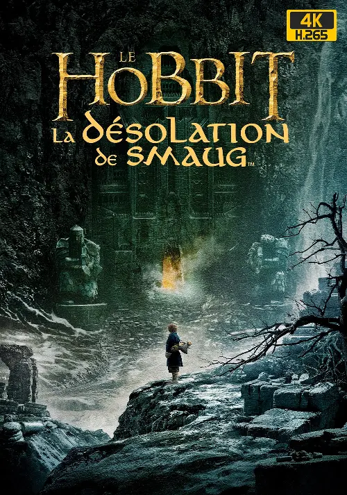 Consulter les informations sur la BD Le Hobbit 2 - La Désolation de Smaug [4K Light]