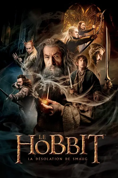 Consulter les informations sur la BD Le Hobbit : La Désolation de Smaug