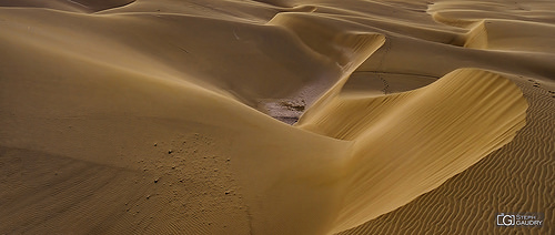 Boa Vista - du sable à perte de vue