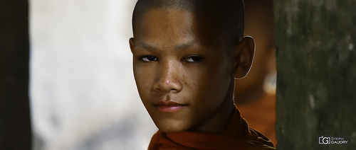 Jeune moine au Cambodge