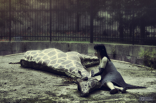 La fille à la girafe - l'adieu
