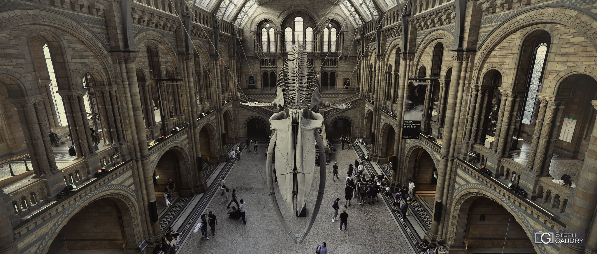 Hope - the skeleton of a blue whale [Klik om de diavoorstelling te starten]